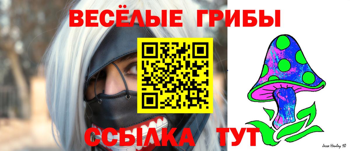 Псилоцибиновые грибы MAGIC MUSHROOMS  Вход с VPN  Псилоцибиновые грибы MAGIC MUSHROOMS  Гусиноозёрск 